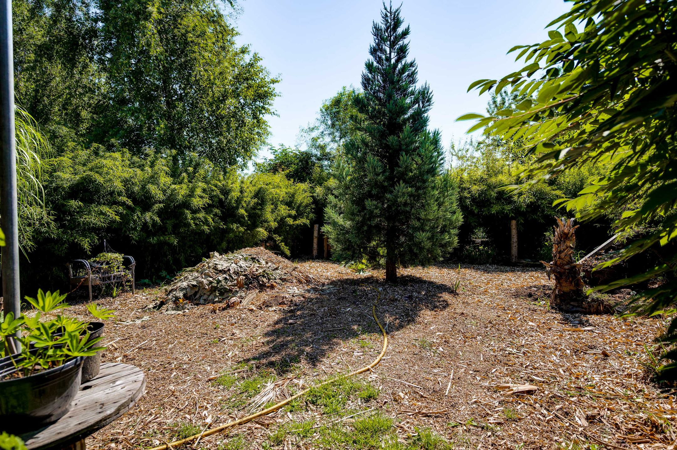 Foto 39 van Keenterstraat 10