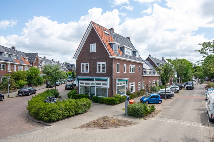 van Heutszstraat 61