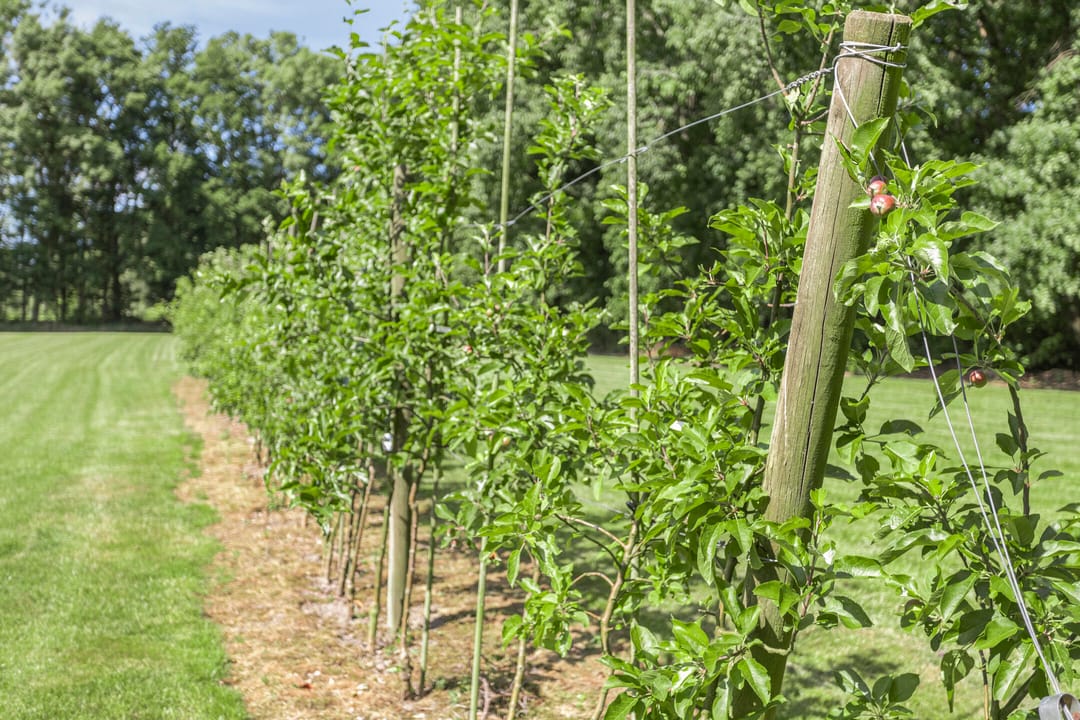 Foto 46 van Ketelmeerweg 1