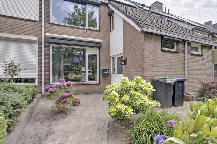 Foto 7 van Koudenberg 33