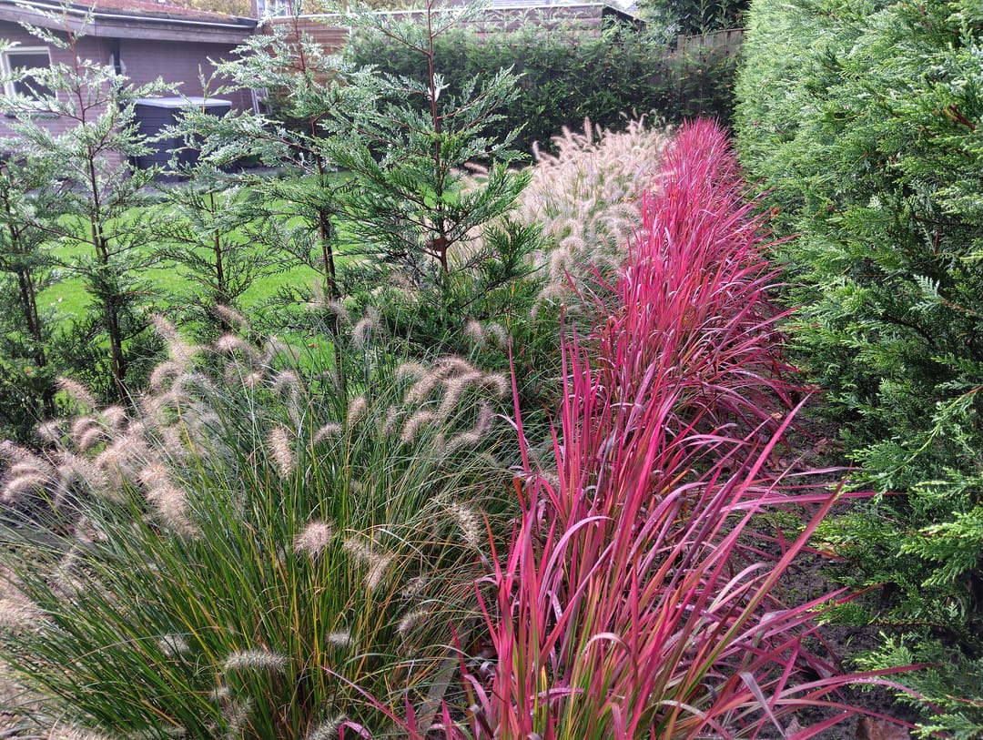 Foto 62 van Elisabeth van den Boschlaan 18