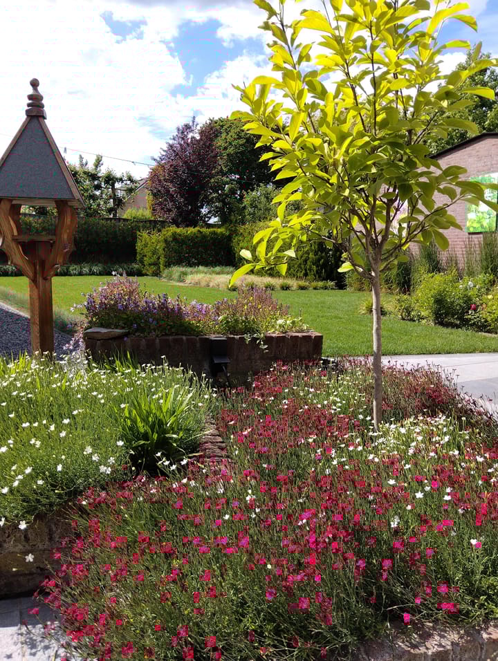 Foto 63 van Elisabeth van den Boschlaan 18