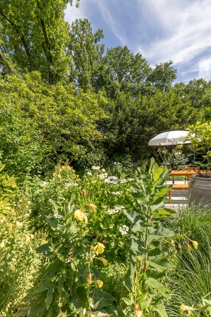 Foto 79 van Ketenbosweg 6