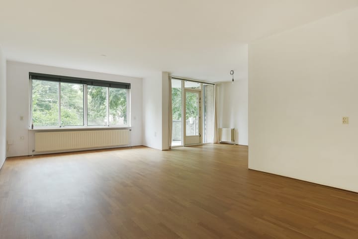 Kanteel 79