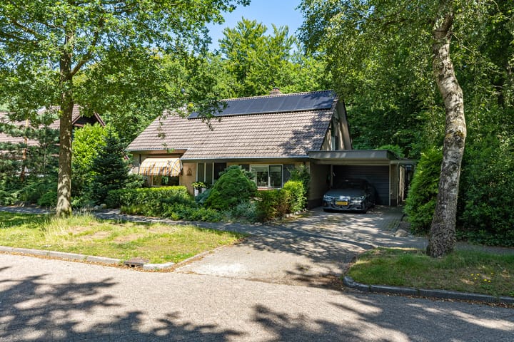 Photo 48 of Van Haersmasingel 47