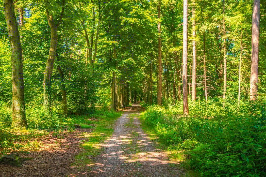 Foto 52 van Graaf van Rechterenweg 35