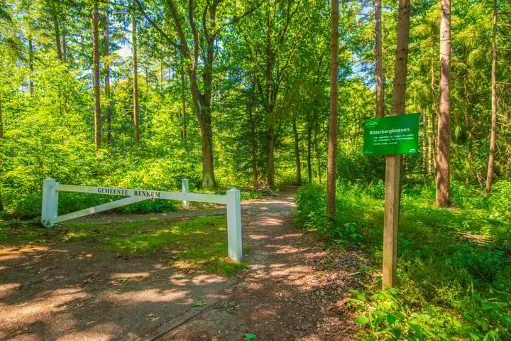 Photo 51 of Graaf van Rechterenweg 35