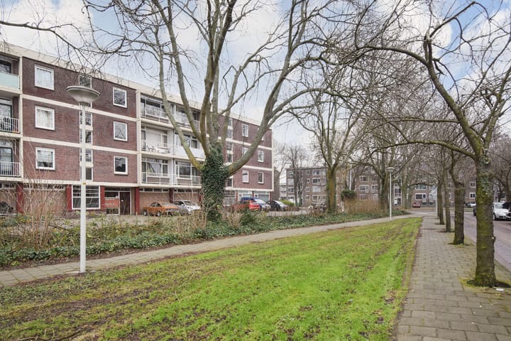 Bekijk foto van Hengelolaan 211 B