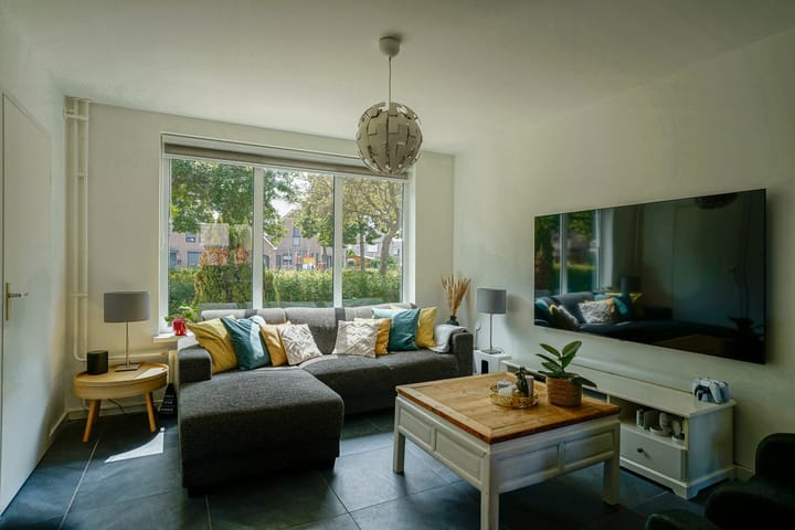 Foto 3 van Elzenrijs 45