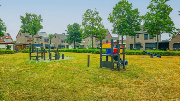 Foto 26 van Elzenrijs 45