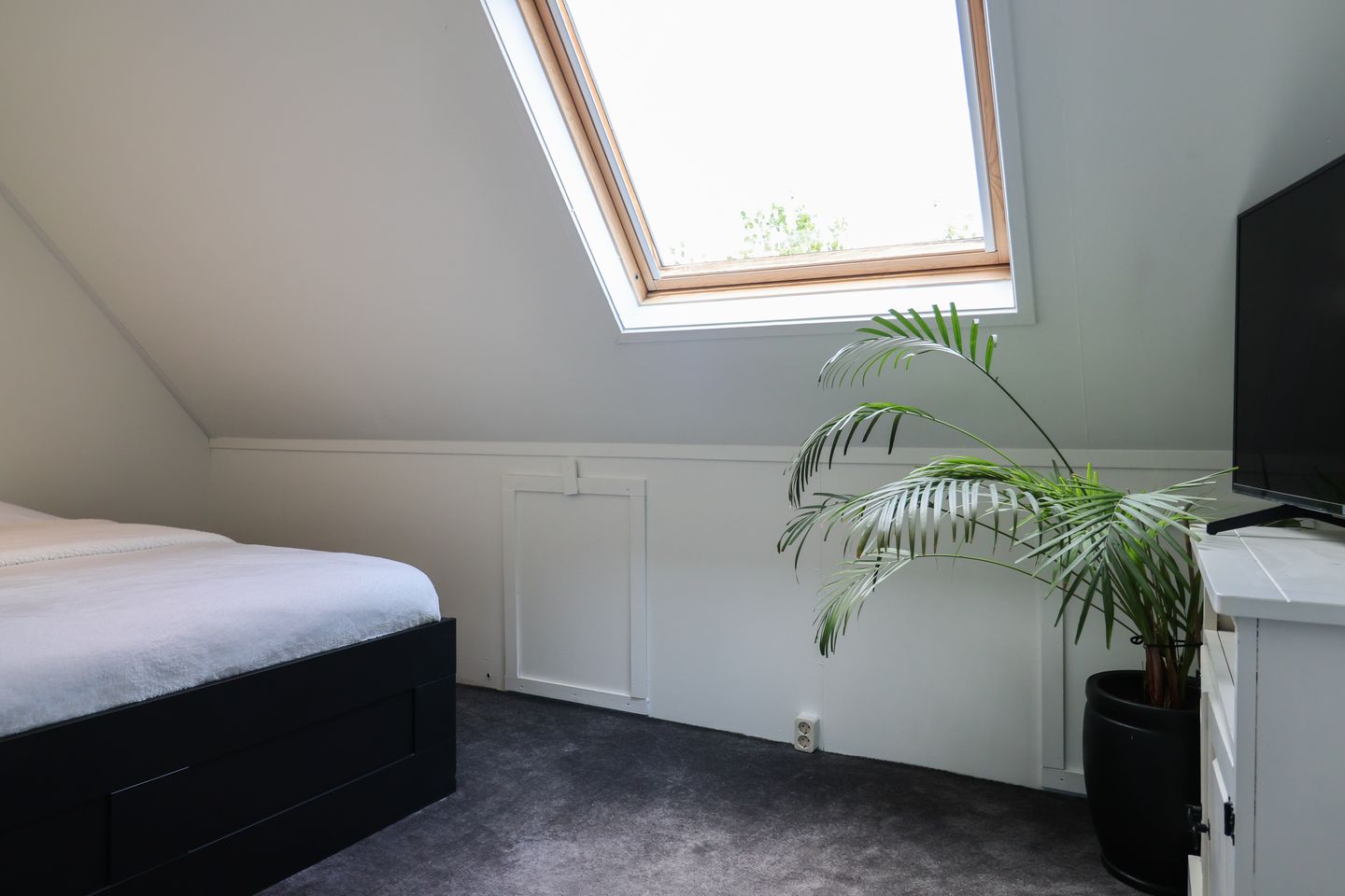 Foto 50 van Oer de Barten 18