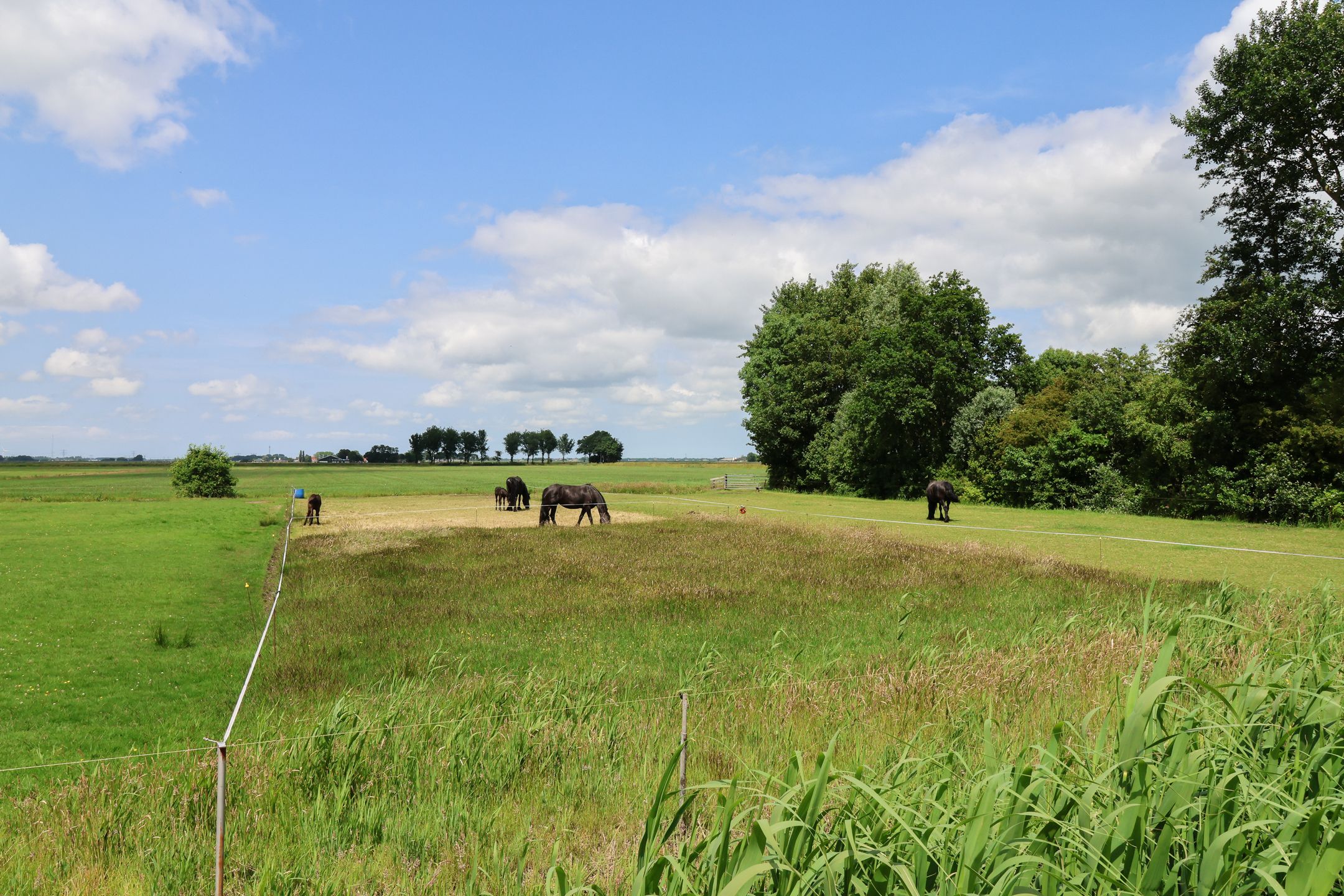 Foto 72 van Oer de Barten 18