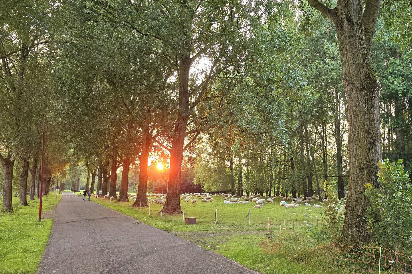 Foto 25 van Pieter Aertsenhage 64