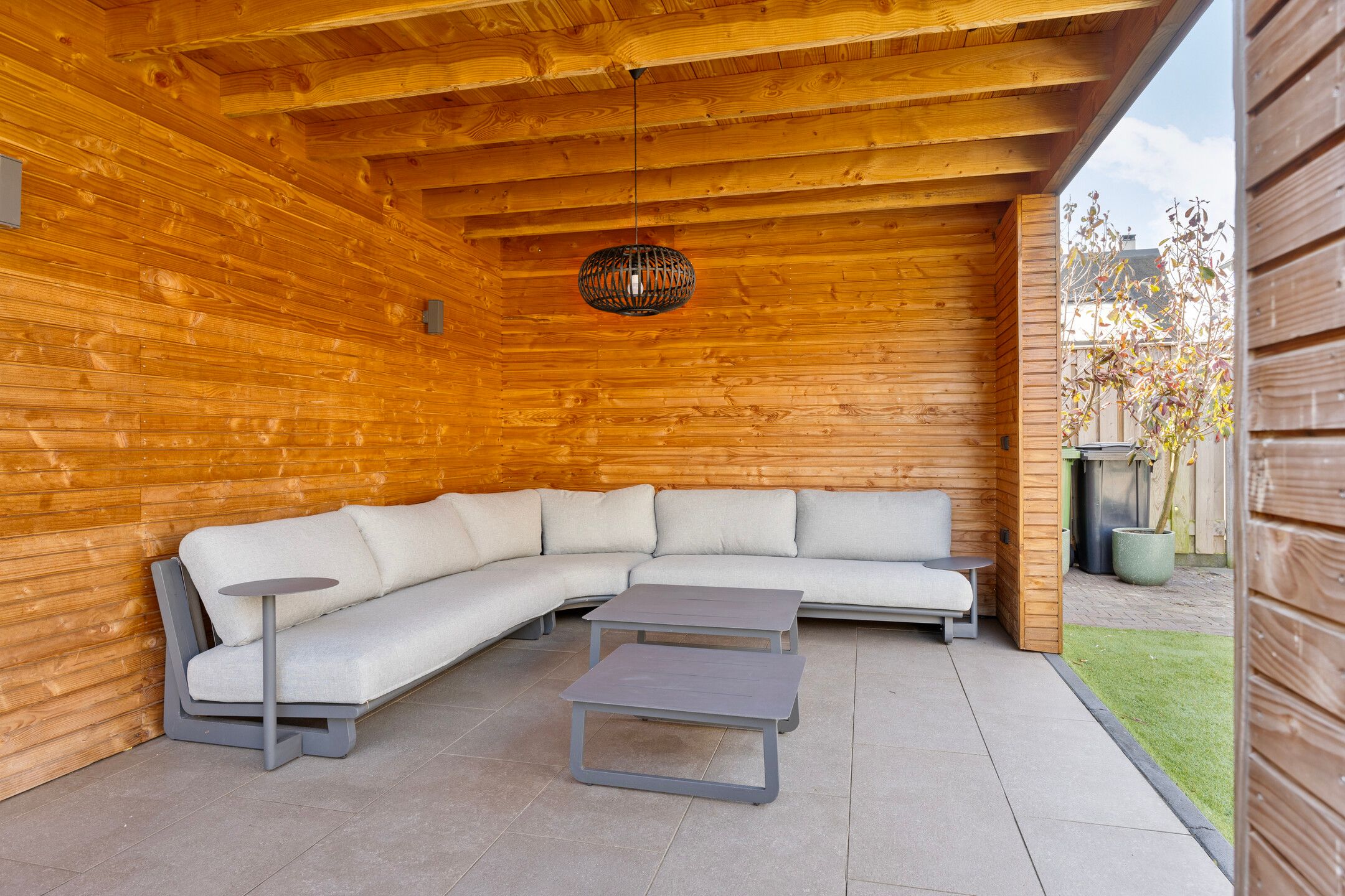 Photo 36 of Pampas 11