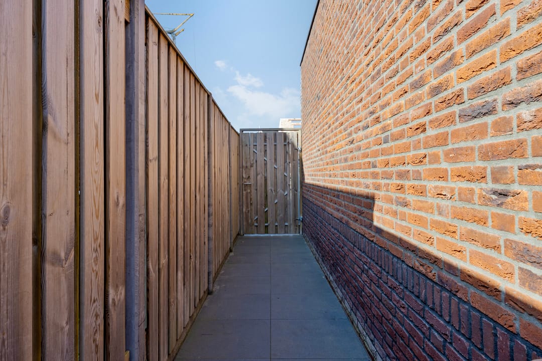 Photo 38 of Pampas 11