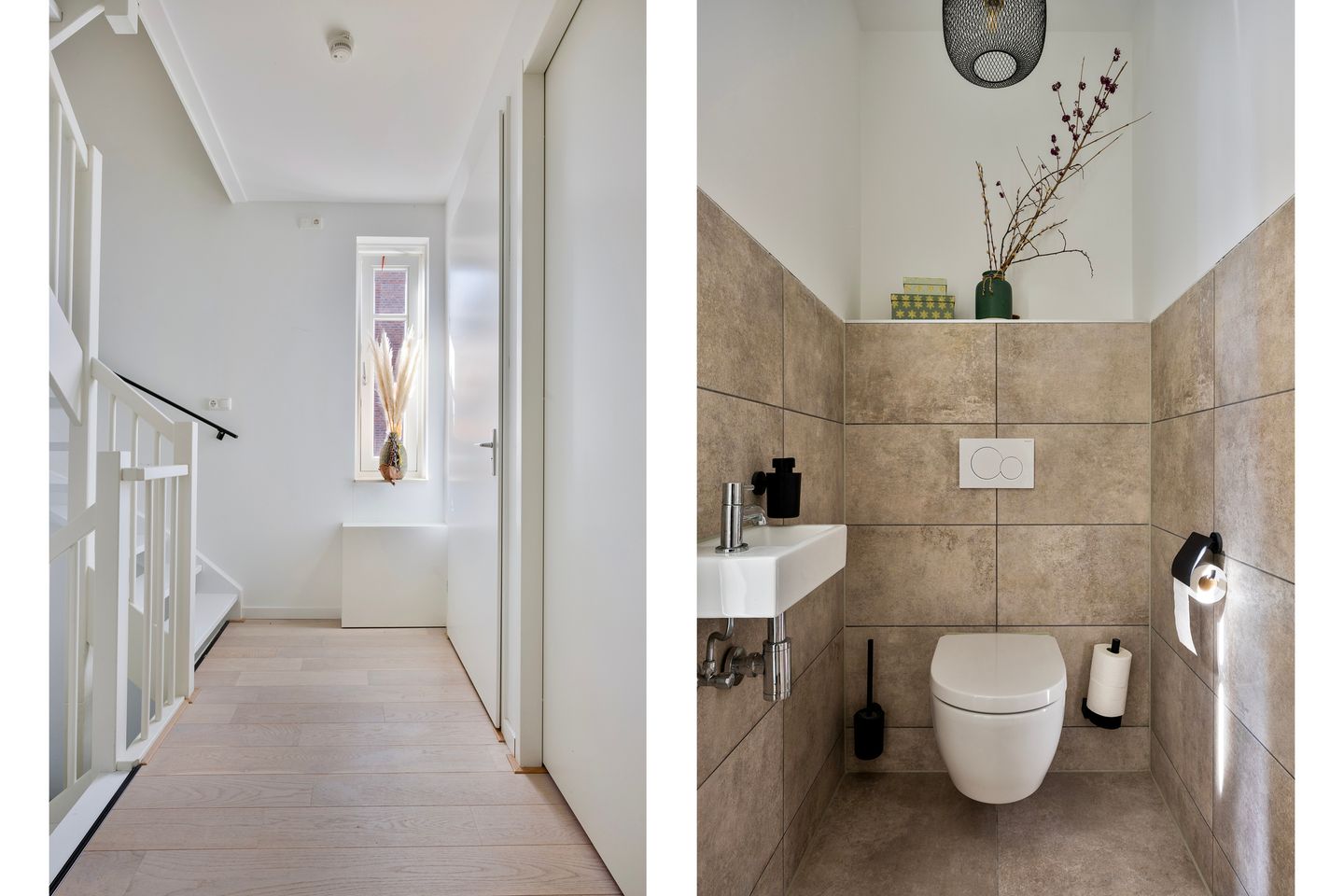 Photo 20 of Pampas 11