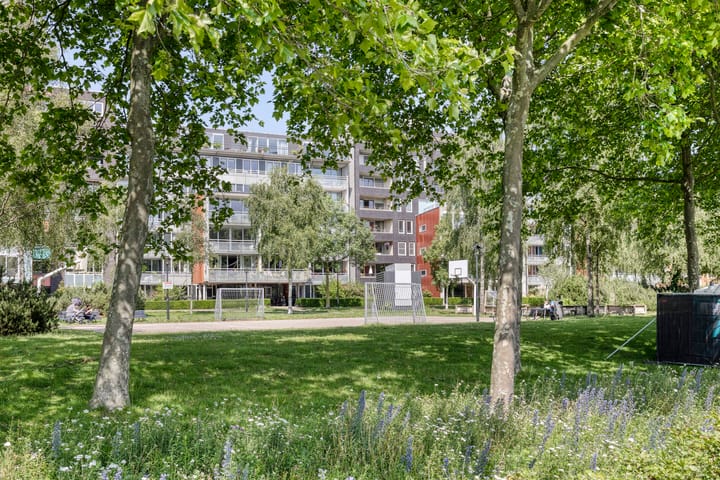 Photo 26 of Bogortuin 74