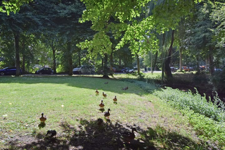 Foto 43 van Forellendaal 686