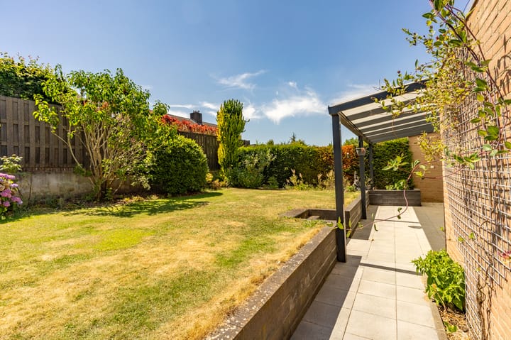 Foto 22 van Dassenburcht 13