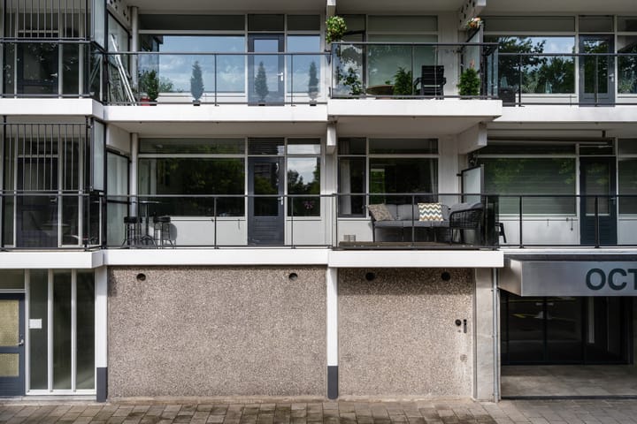 Foto 34 van Octant 137