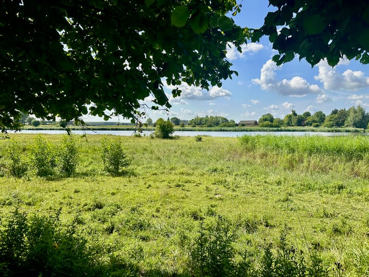 Foto 28 van Zuidwal 2