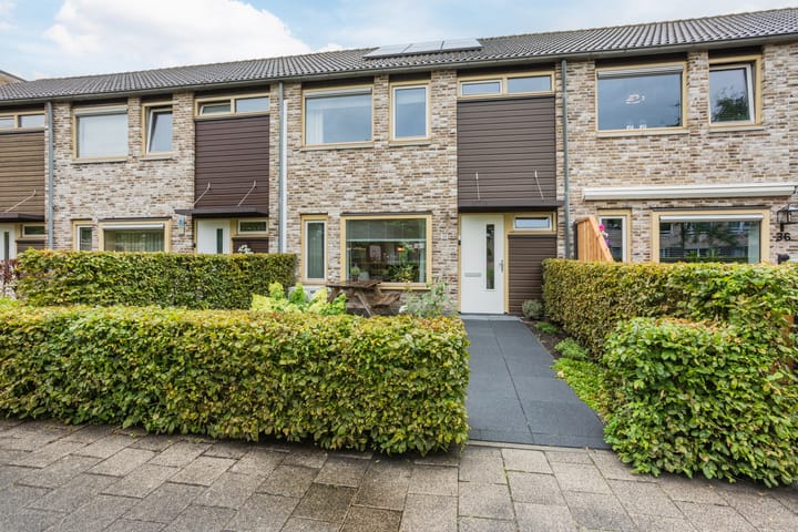 Foto 45 van Schweitzerstraat 38