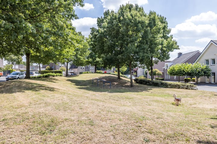 Foto 3 van Pijlbrem 4