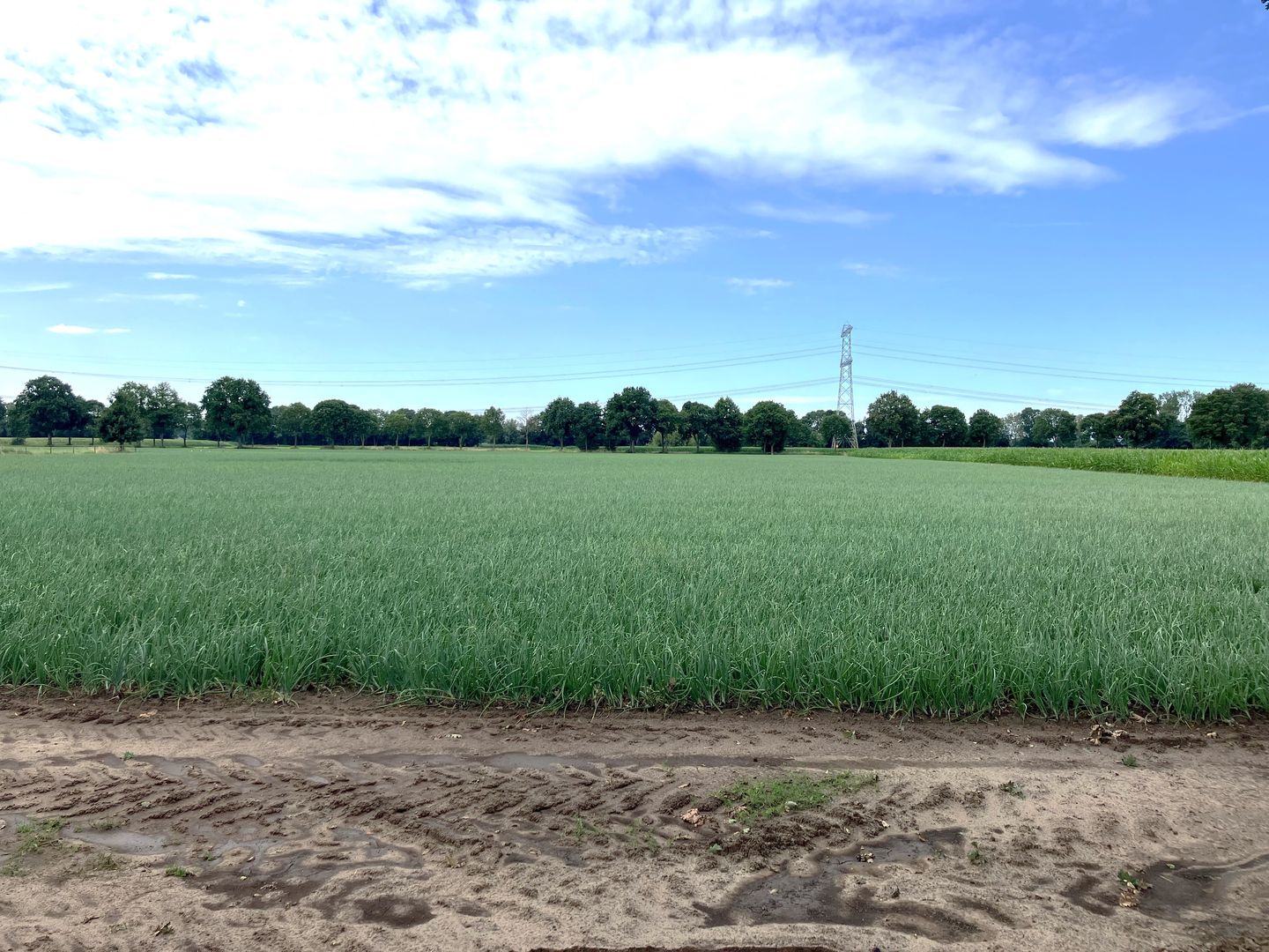 Bekijk foto 3 van Laageindsbroek