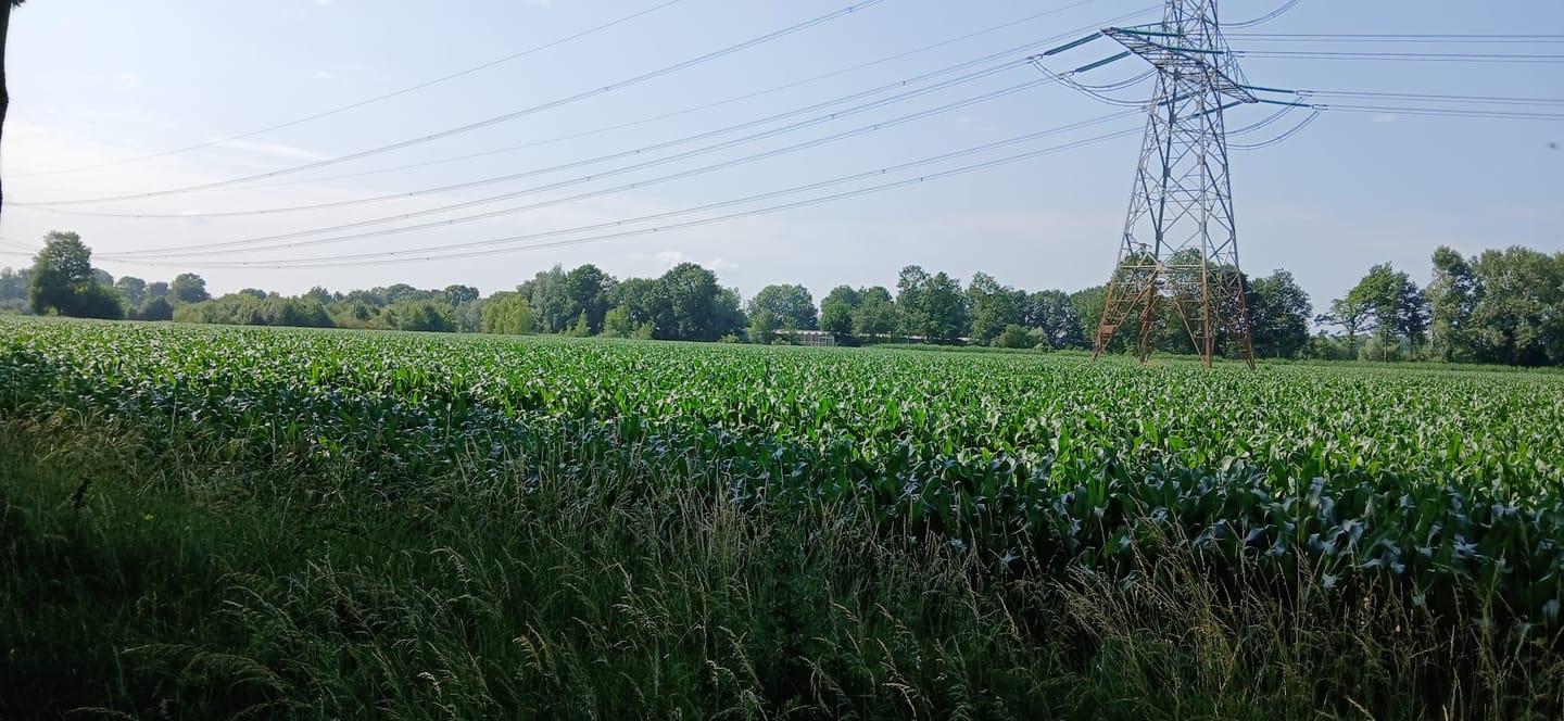 Bekijk foto 5 van Laageindsbroek
