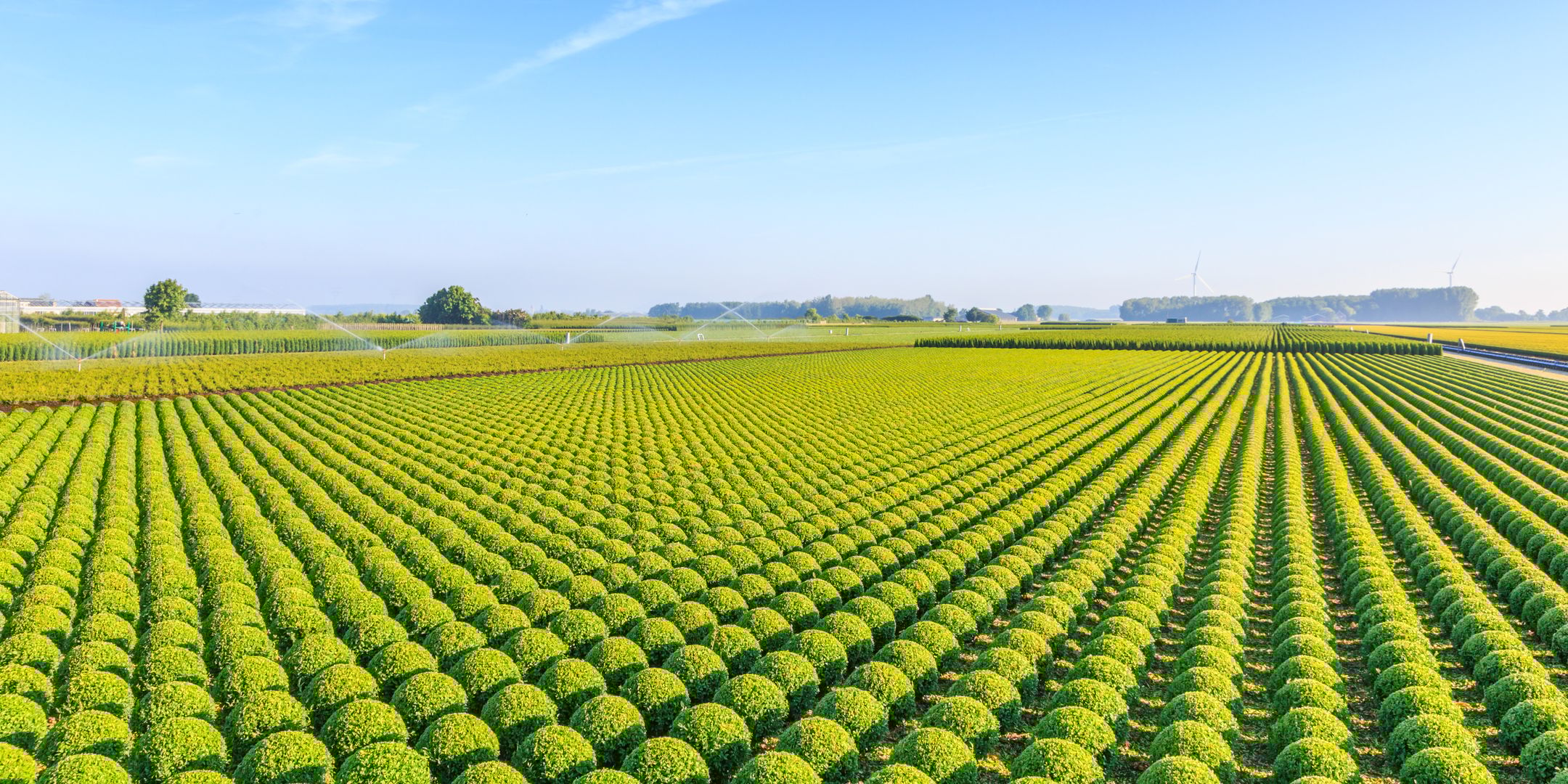 Foto 12 van Hoekwoning Kwekerij (Bouwnr. 1)