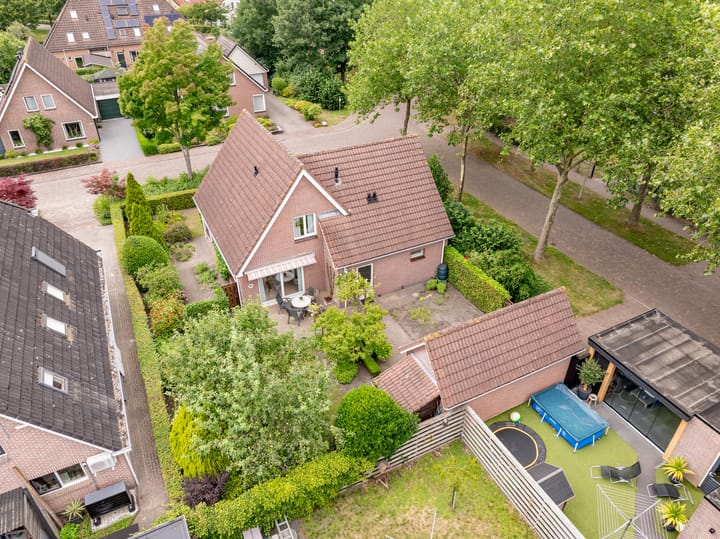 Foto 5 van Strubben 1