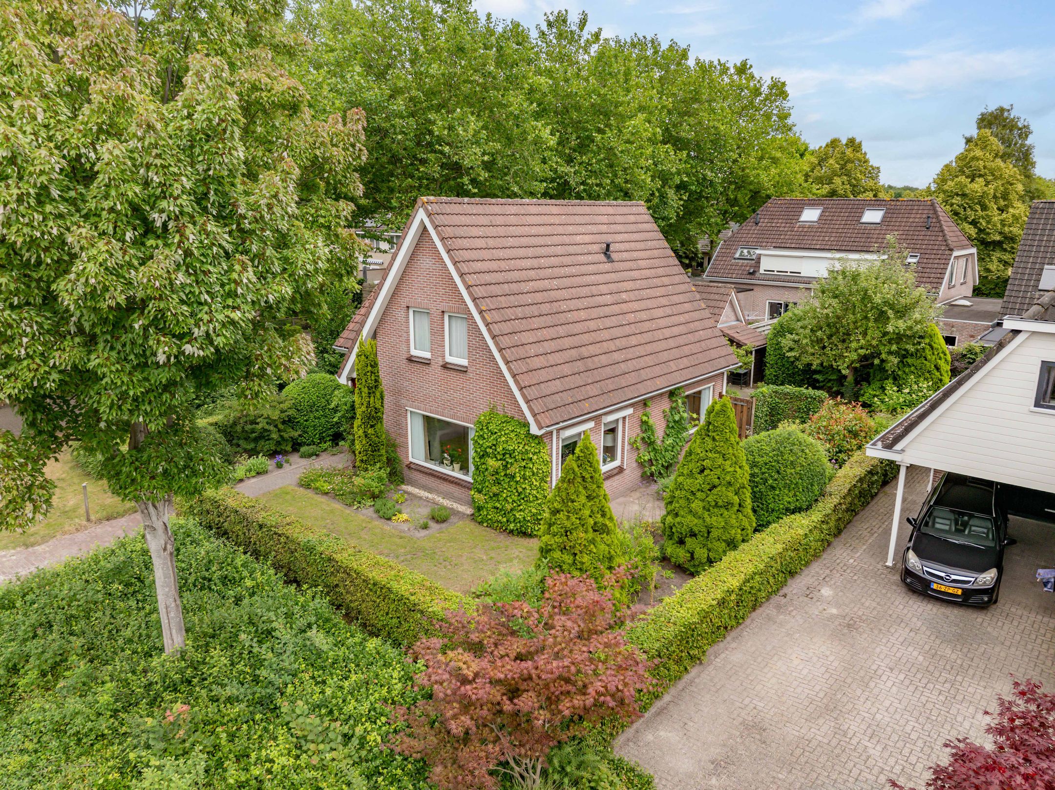 Foto 6 van Strubben 1