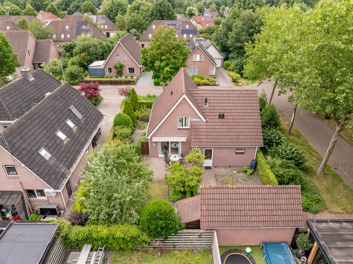 Foto 43 van Strubben 1