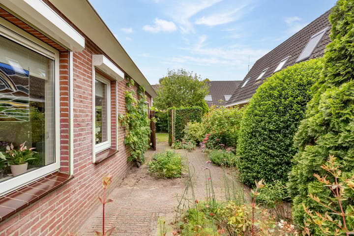 Foto 53 van Strubben 1