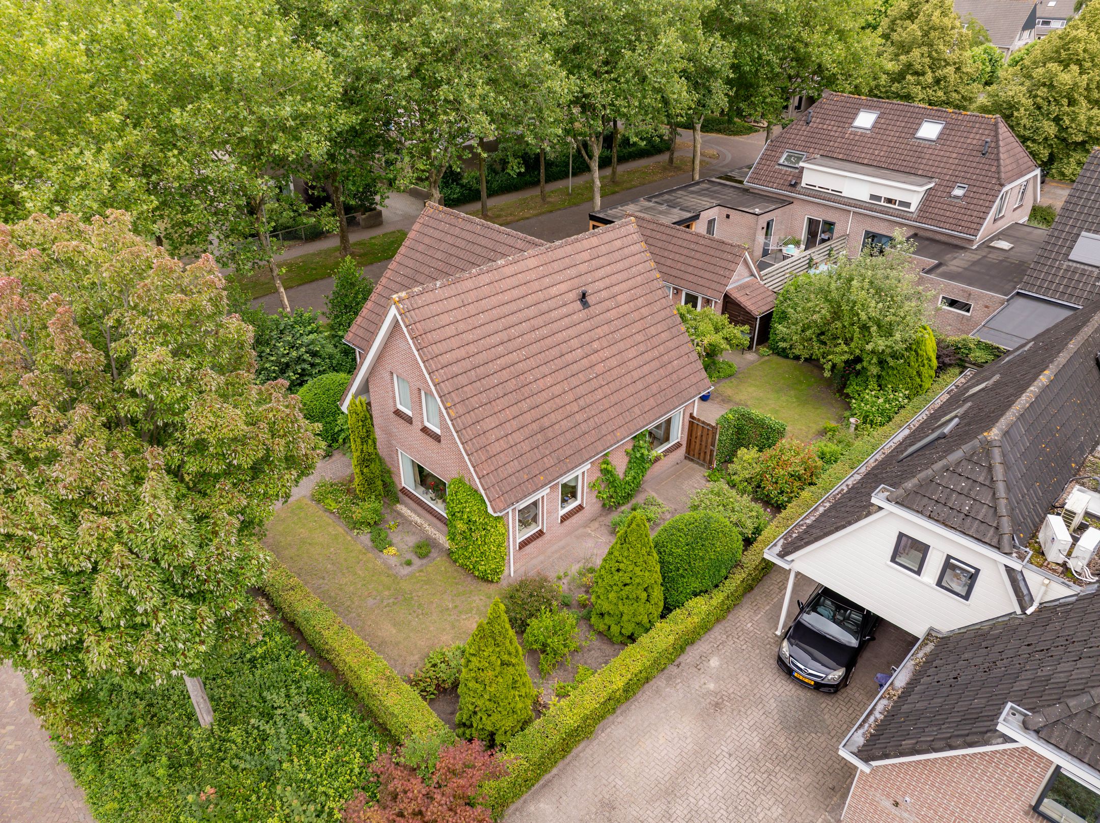 Foto 54 van Strubben 1