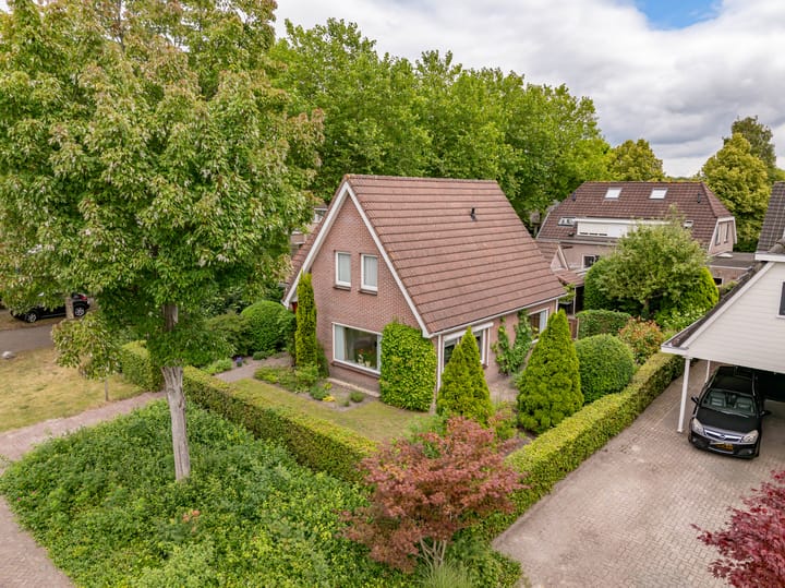 Foto 56 van Strubben 1