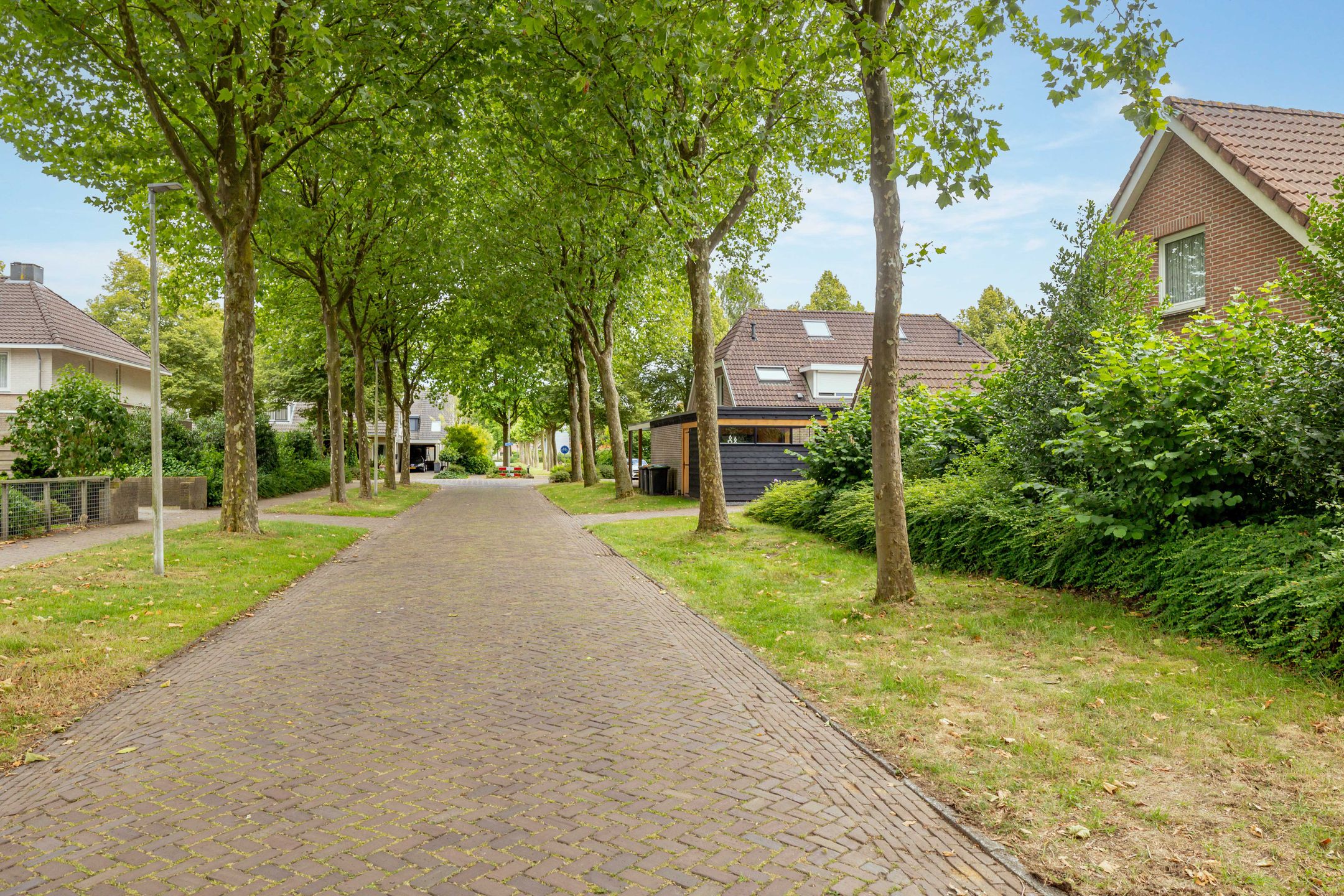 Foto 57 van Strubben 1