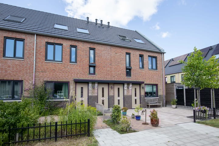 undefined main image