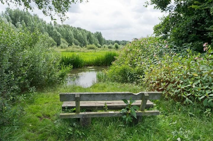 Foto 41 van Adelaartlaan 51