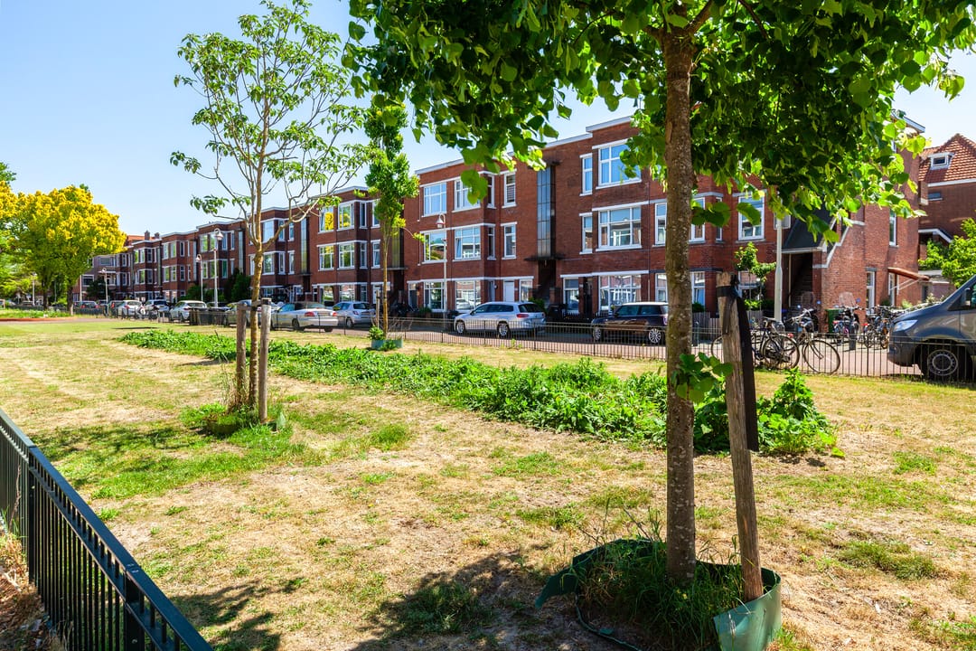 Photo 37 of Damasstraat 176