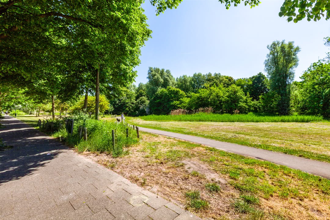 Photo 38 of Damasstraat 176