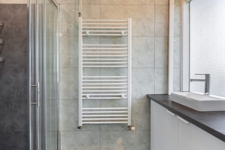 Foto 28 van Frans Halslaan 15-A