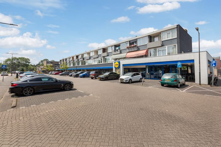 Foto 36 van Frans Halslaan 15-A