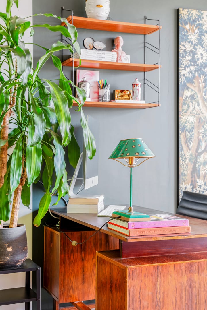 Foto 3 van Diergaardesingel 40