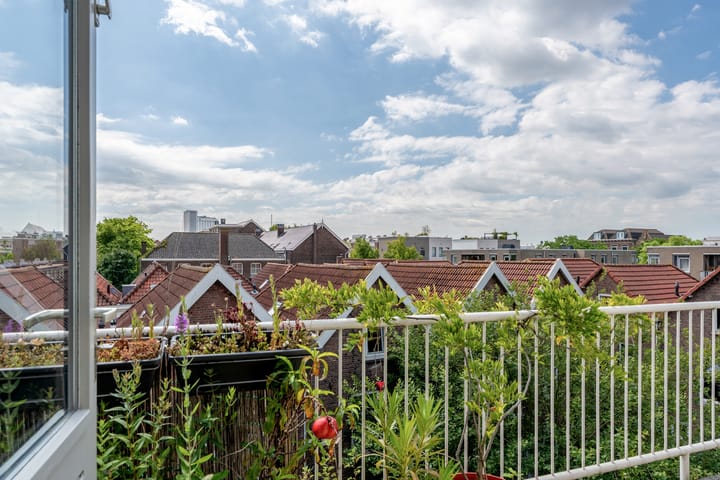 Foto 20 van Diergaardesingel 40