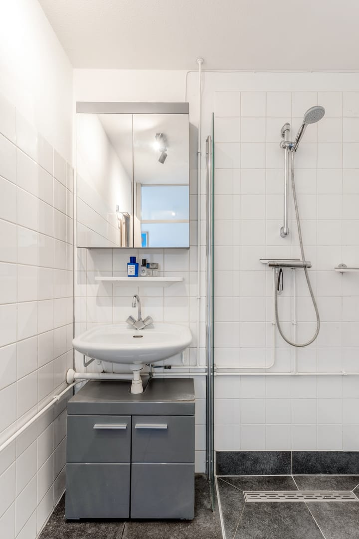 Foto 27 van Diergaardesingel 40