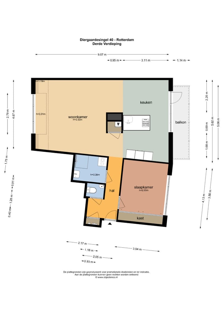 Foto 35 van Diergaardesingel 40