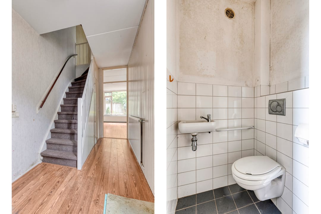 Photo 2 of Hondsdraf 14