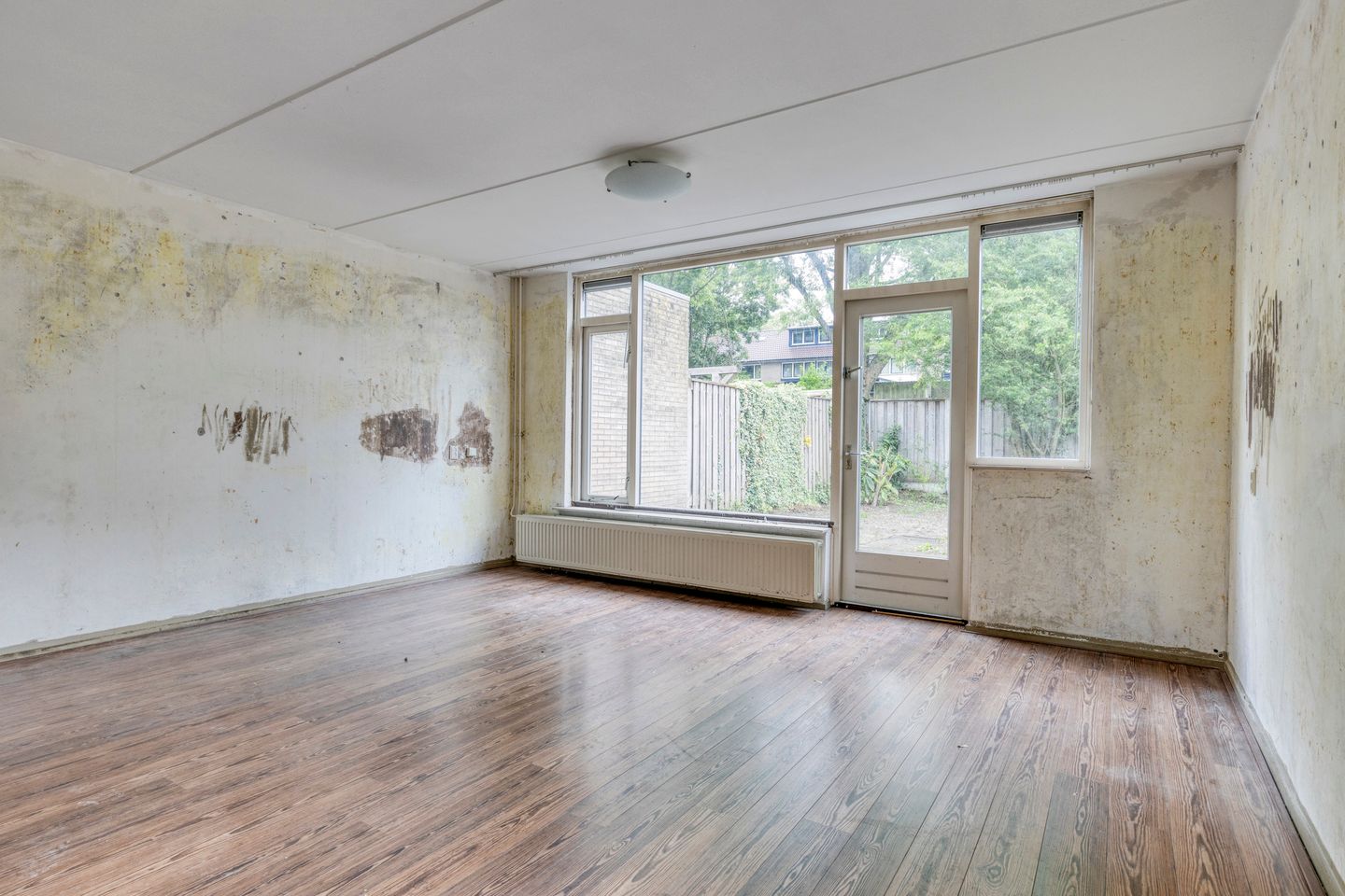 Photo 4 of Hondsdraf 14