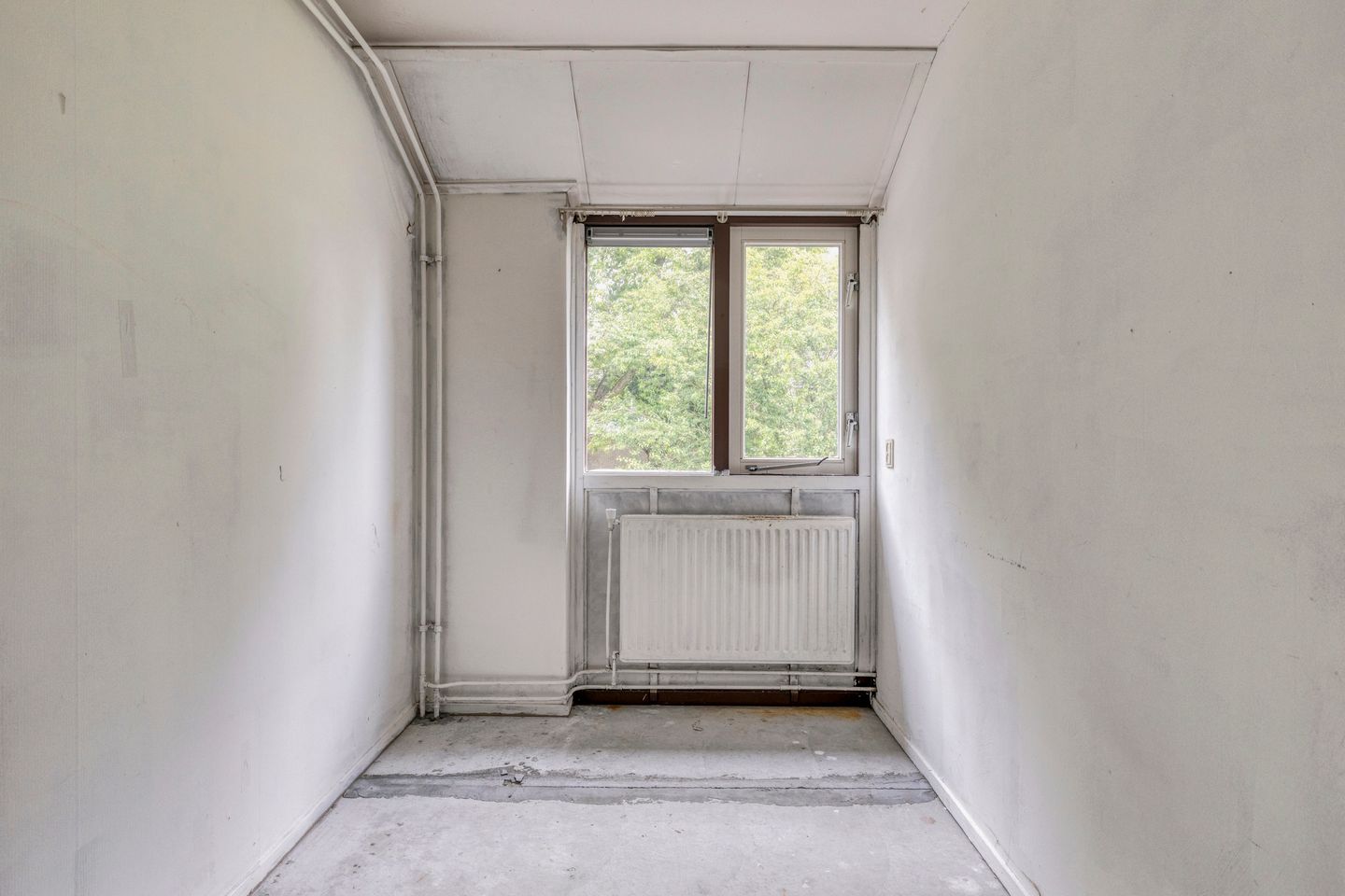 Photo 14 of Hondsdraf 14